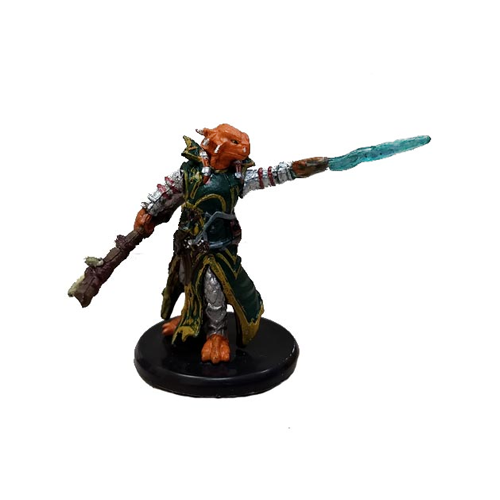 Waterdeep Dragon Heist #12b Dragonborn Draconic Sorcerer (Green Robe) (C)