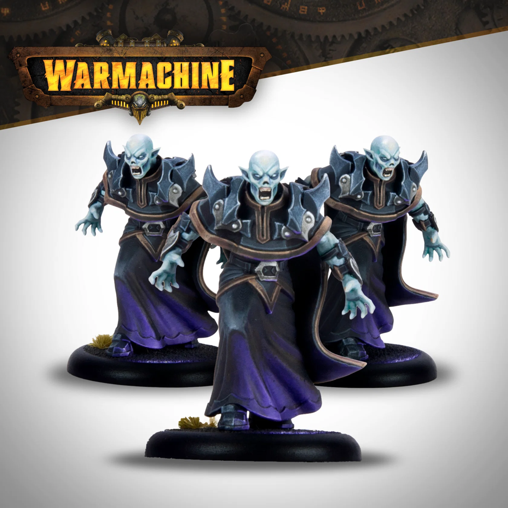 Warmachine: Dusk Fane of Nyrro - Court of Shadows Army Box (Preorder)