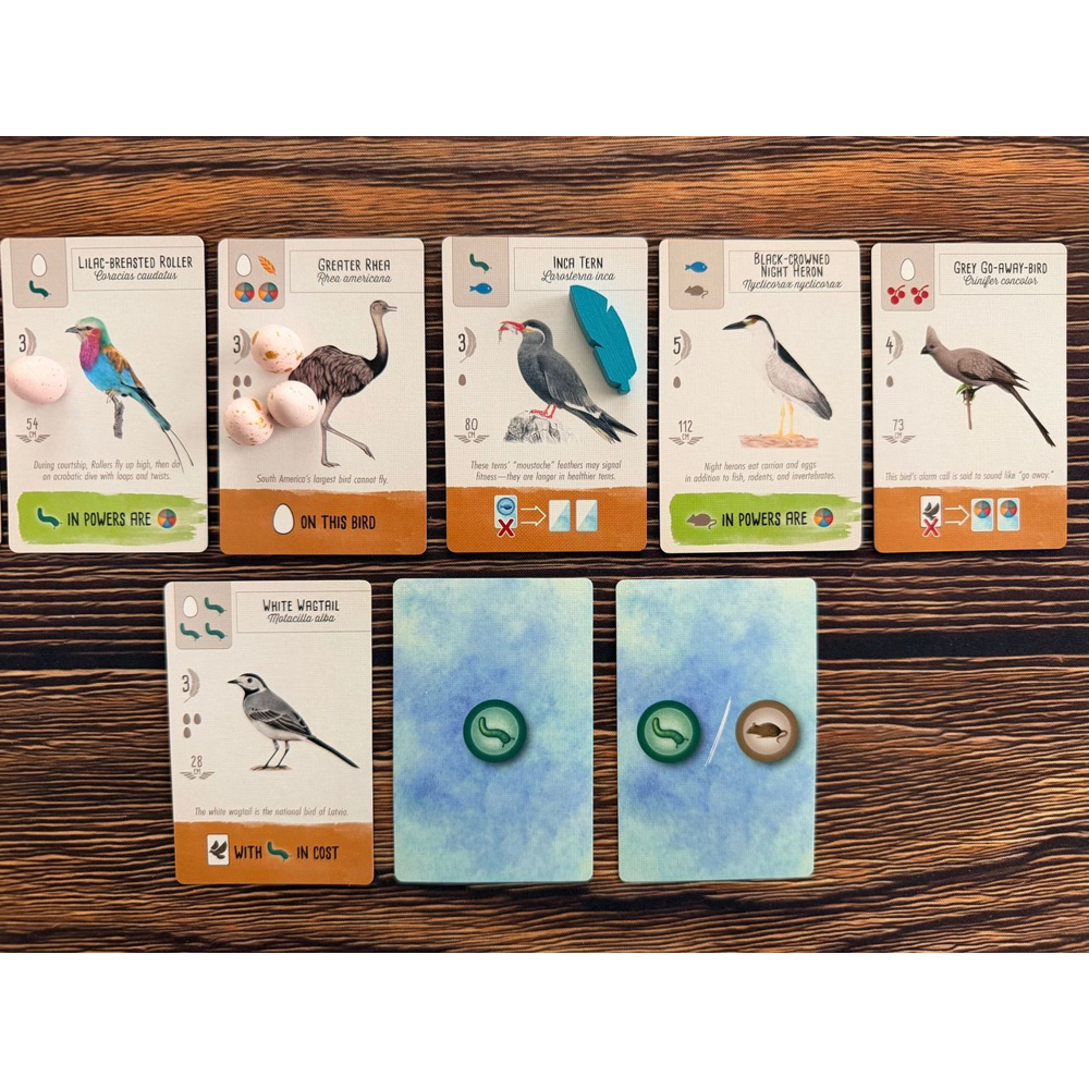 Wingspan Pocket (Preorder)