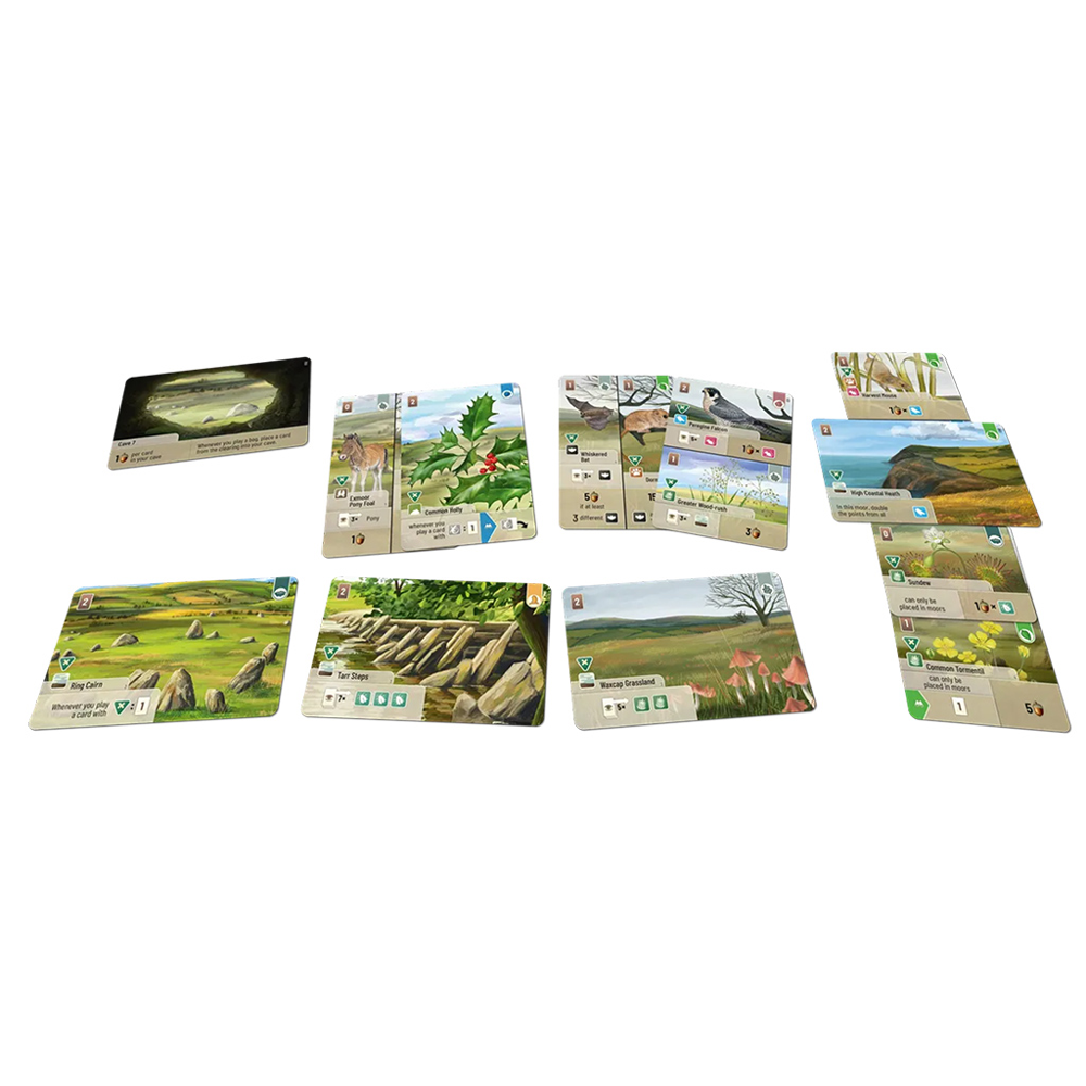 Forest Shuffle Dartmoor - Exmoor Expansion (Preorder)