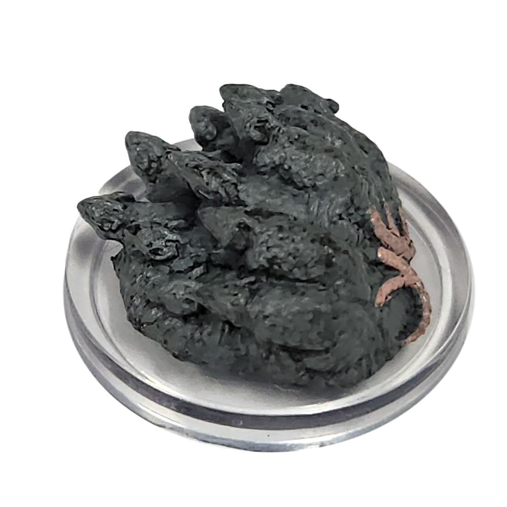 Ghost Light #24 Swarm of Rats (U)