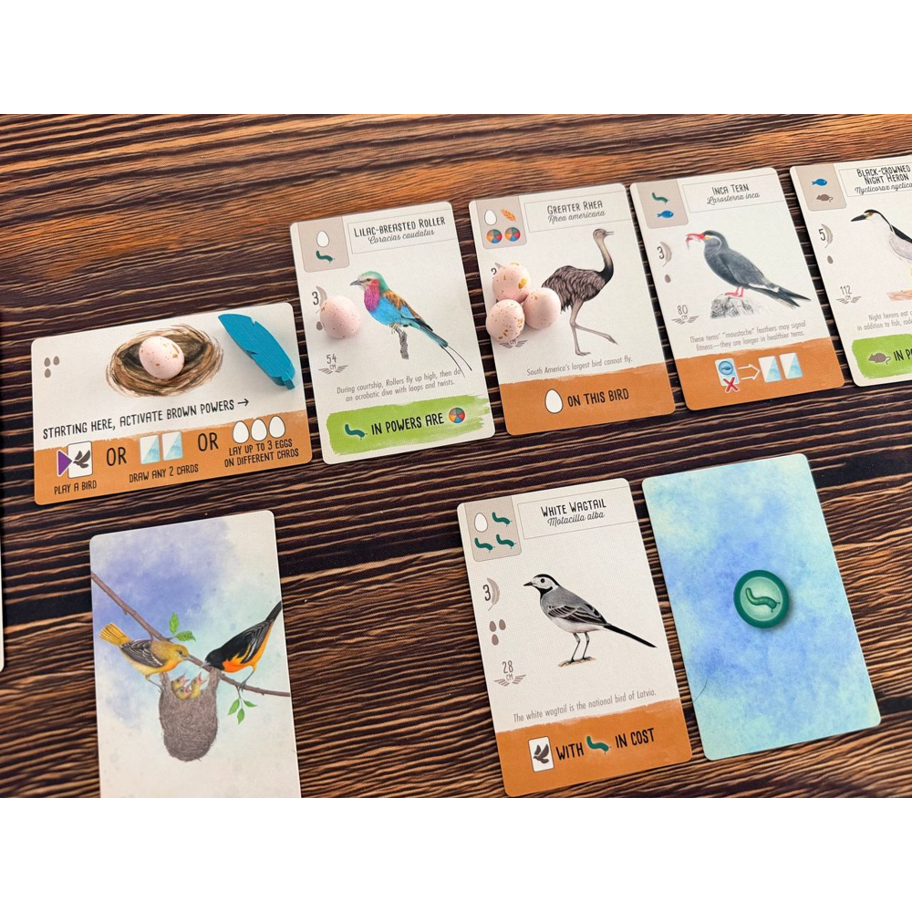 Wingspan Pocket (Preorder)