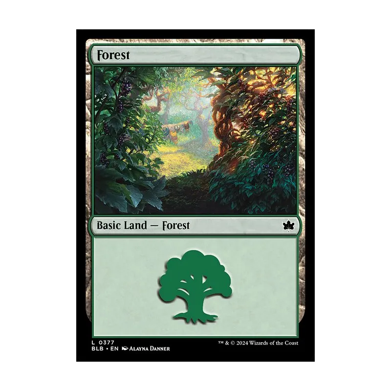Forest (0377) - Bloomburrow (Near Mint)
