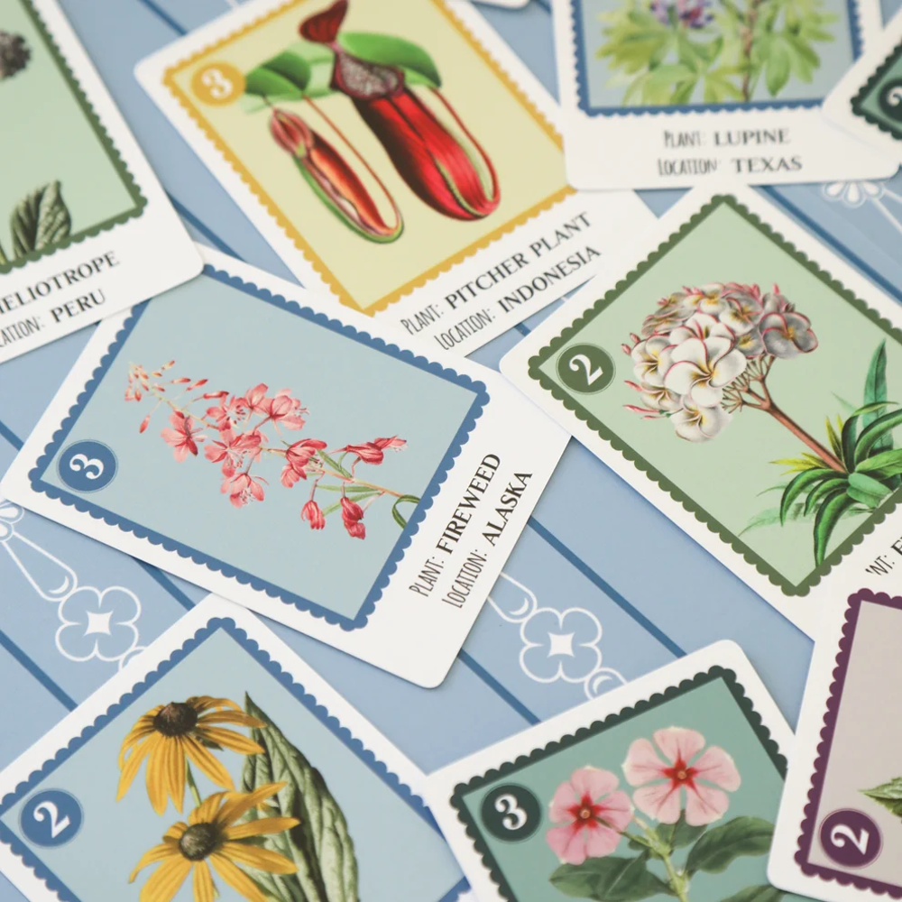 Little Botany (Preorder)