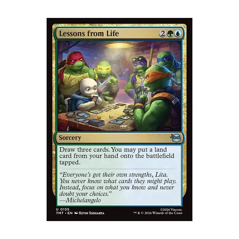 Lessons from Life - Teenage Mutant Ninja Turtles (Near Mint)