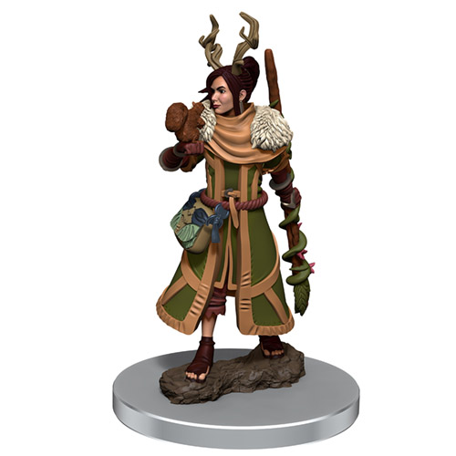 D&D Premium Painted Figure: W7 Female Human Druid
