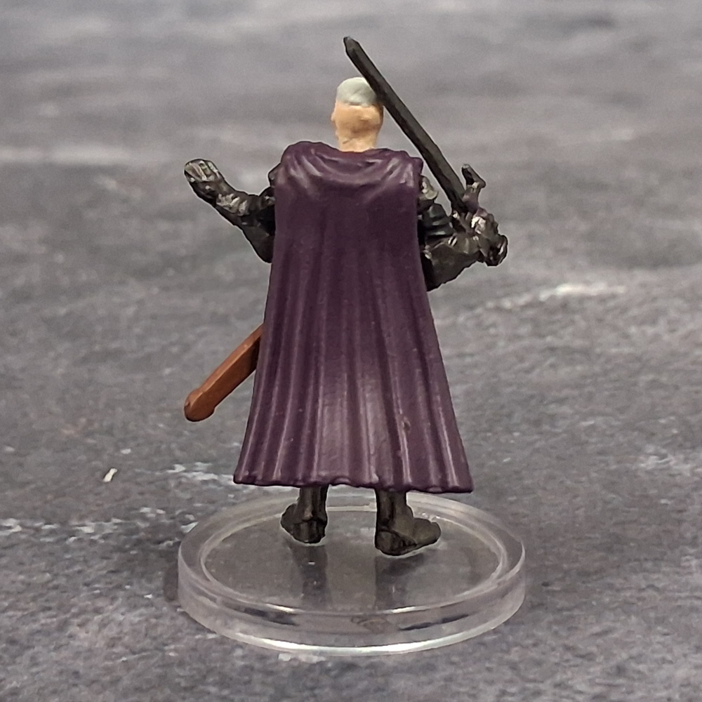 Adventures in Faerun #22 Purple Dragon Knight (U)