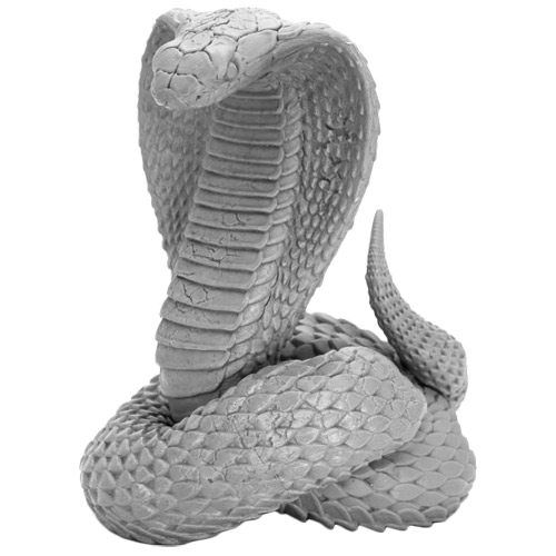 Bones Black: King Cobra