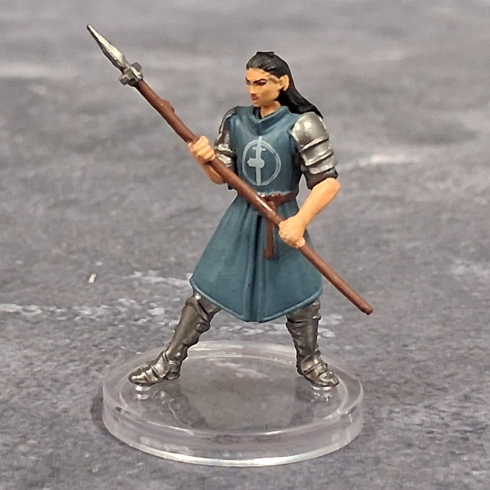 Adventures in Faerun #20 Order of the Guantlet Guard (U)