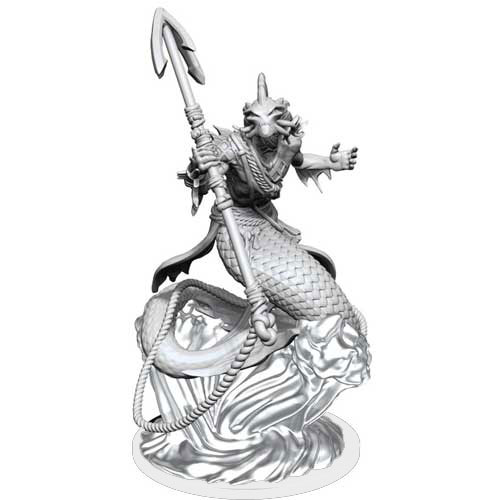 Critical Role Unpainted Minis: W1 Shallowpriest