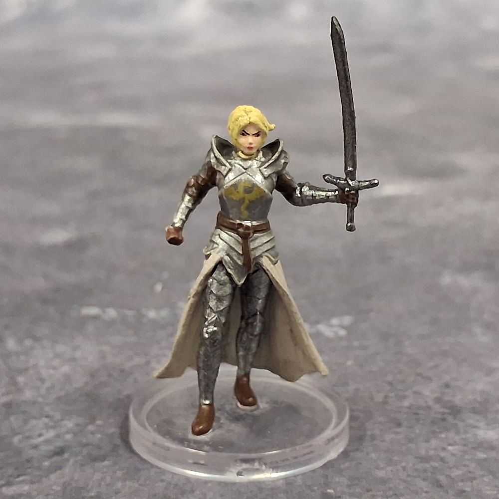Adventures in Faerun #14 Zhentilar Paladin (U)