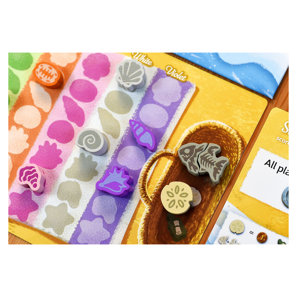 Seashells (Preorder)