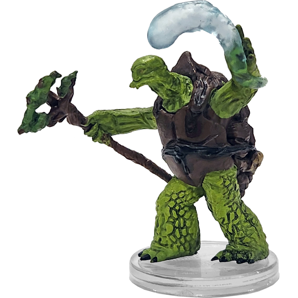 Seas & Shores #40 Tortle Druid (R)