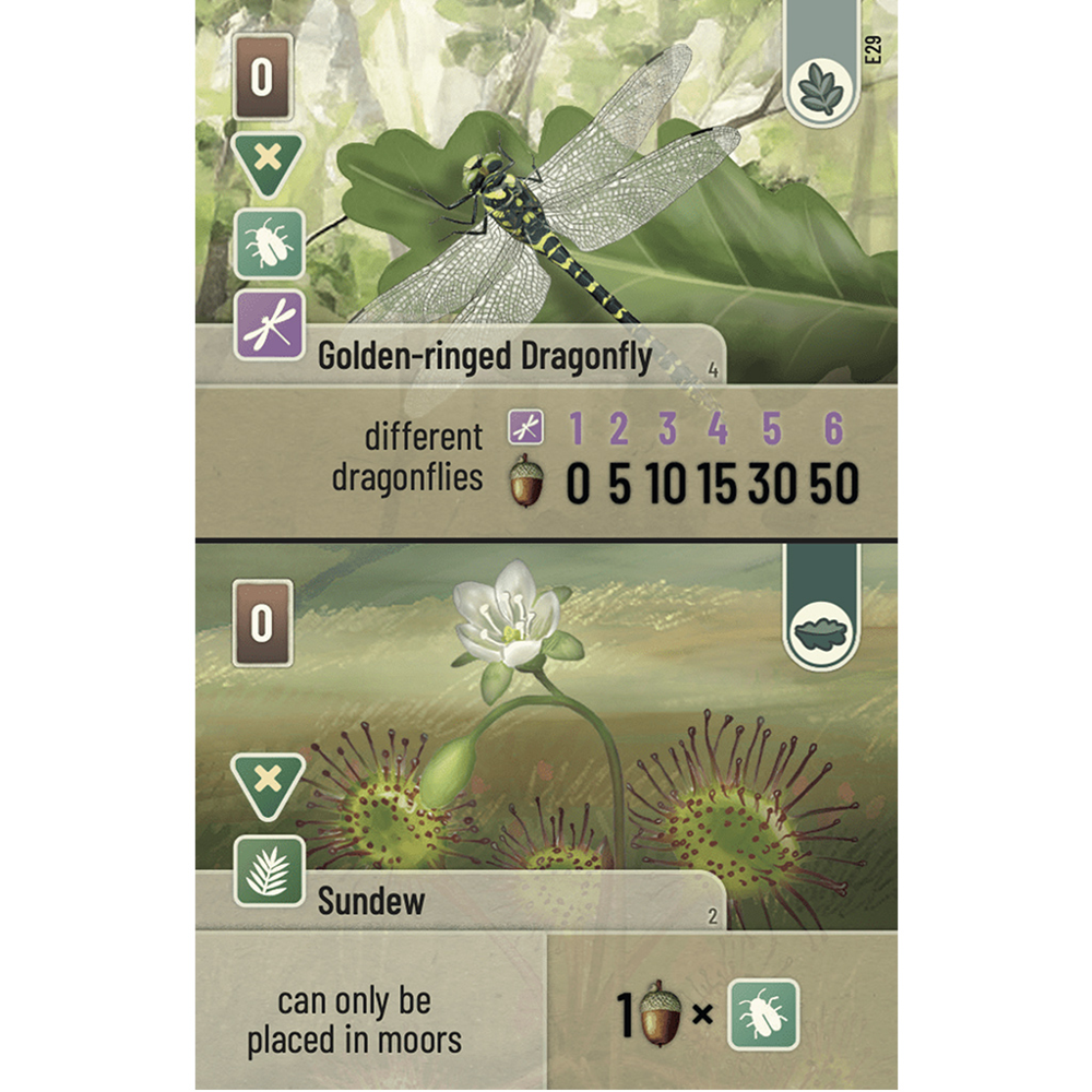 Forest Shuffle Dartmoor - Exmoor Expansion (Preorder)