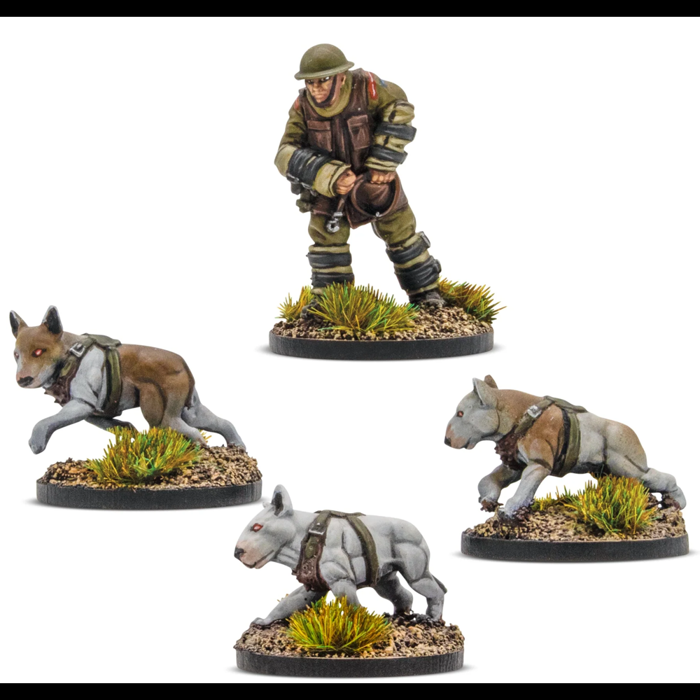Konflikt '47: British Commonwealth - Cerberus Squad (New Arrival)