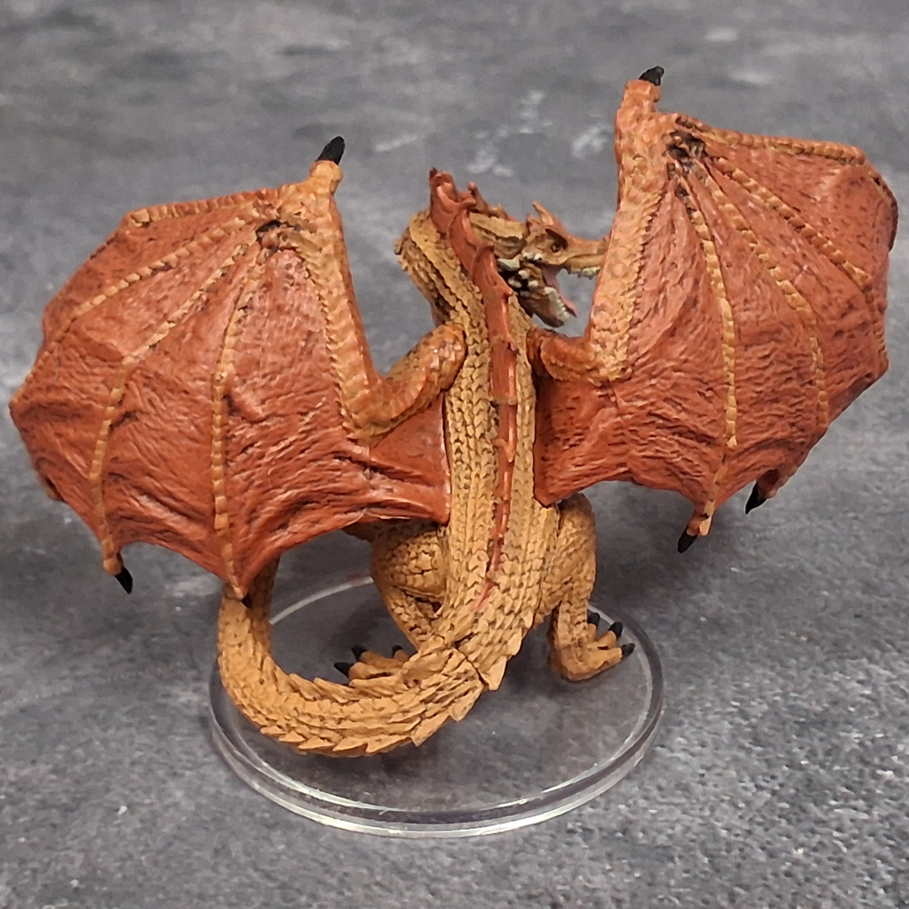 Adventures in Faerun #41 Wyvern (R)