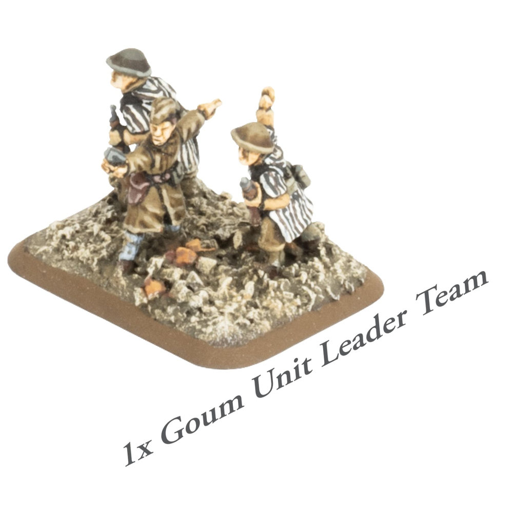 Flames of War WW2: French Starter Force - Compagnie de Tirailleurs Rifle Company (New Arrival)