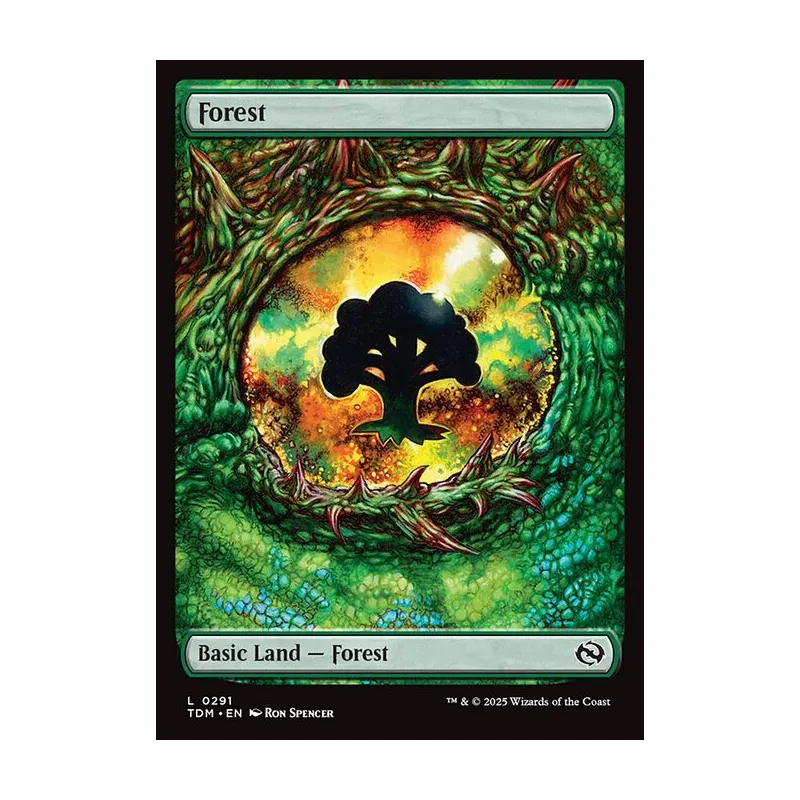 Forest (0291) - Tarkir: Dragonstorm (Near Mint)